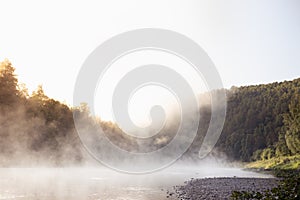 Tranquil bright early morning landscape with mist on lake - soft haze on water and lush green forest in golden sunbeams