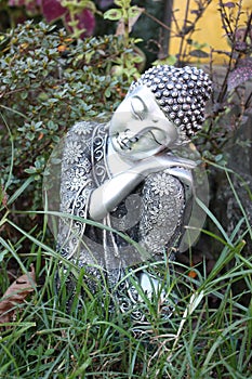 Tranquil buddah
