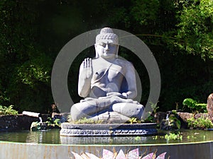 Tranquil Buddha statue in a pond surrounded by lush greenery photo