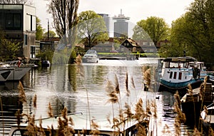 Tranquil canal scene with boats in Amsterdam north, Netherlands