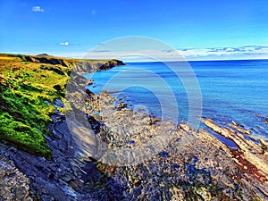 Tranquil coastal landscape featuring a sandy beach, rocky outcrops, and lush green vegetation