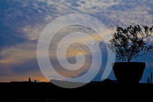 Tranquil Contrast: Silhouetted Plant Pot Beneath a Blue Sky and White Clouds