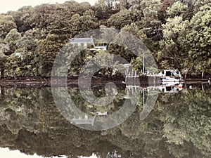 tranquil Cowlands Creek