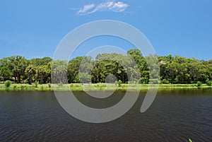 Tranquil creek under a blue sky in a nature preserve in Sarasota Florida