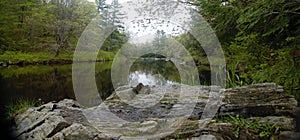 Tranquil Eau Claire River