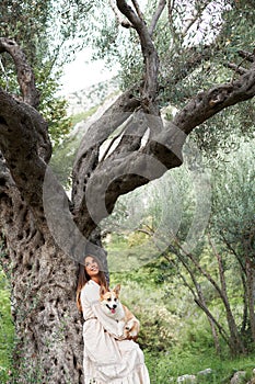 A tranquil embrace in nature: a woman cradles a corgi in a serene olive grove