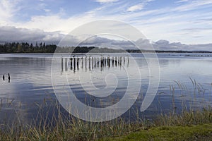 Tranquil evening at the ocean with clouds reflected in the water, old pilings and a grassy shoreline