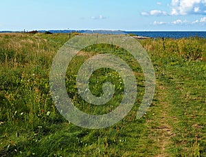 Tranquil footpath walking path on green grass by the ocean