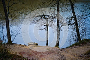 Tranquil Forest Lake: Serenity Among Trees