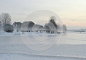 Tranquil frozen lake with misty treeline
