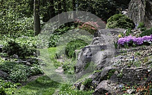 Tranquil Garden Pathway