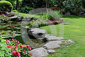 Tranquil garden pond with stepping stones