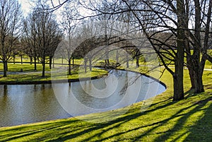 Tranquil Green Parc Area with Water Area