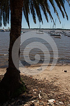 Tranquil image of Uruguay river full of boats ready to navigate