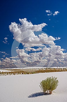 Tranquil image of white sand dunes and beautiful blue sky, White Sands National Monument