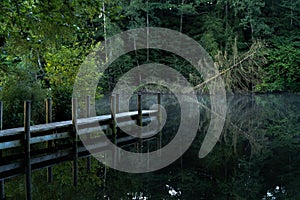 Tranquil lake in a forest setting with a wooden boardwalk leading to a small dock