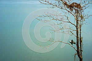 Tranquil lake with leafless trees and fishing boat. Bien Ho lake in Gia Lai, Vietnam