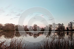 Tranquil lake reflecting the trees on the shore.