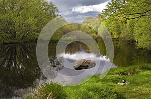 Tranquil lake scape with beautiful reflection and green forest background