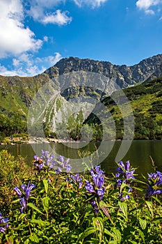 Tranquil lake surrounded by a majestic mountain landscape. Western Tatras, Slovakia.