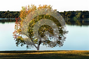 A tranquil lakeside view