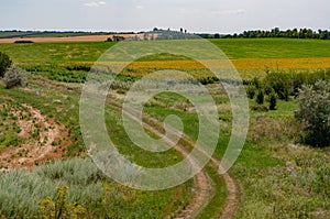 Tranquil landscape of countryside in European country. Rural scene of agricultural industry. Summer view of fields and pastures