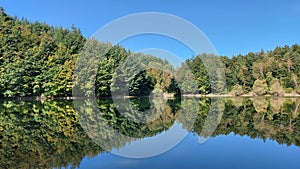 Tranquil landscape of a river, with the reflection of a lush forested shoreline, and tall trees
