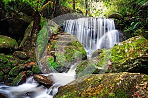 Tranquil lush waterfall in Leura