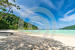 Tranquil Mai Ngam beach in beautiful day, Surin island national park, Phang Nga, Thailand