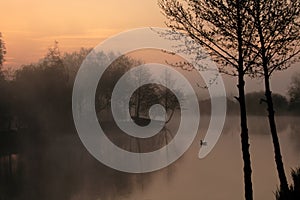 Tranquil misty lake at dawn