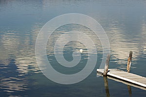 Tranquil Morning Lake Scene