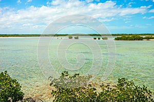 Tranquil nature in florida keys