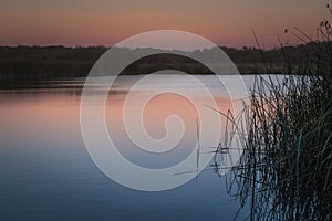 Tranquil night scene, lake and rushes at the edge of lake. Sunset over water