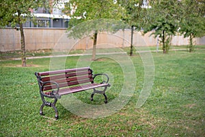 Tranquil Park Bench in Urban Park