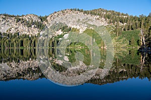 Tranquil, perfectly still alpine lake reflecting pine trees, mountains, and blue sky