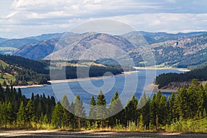 Tranquil Pine Woodland by the Lake Roosevelt on the Columbia River