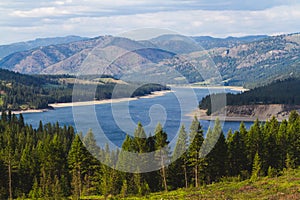 Tranquil Pine Woodland by the Lake Roosevelt on the Columbia River