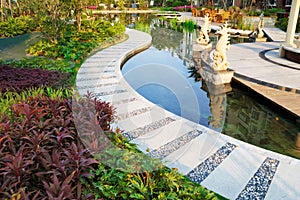 Tranquil pond in the garden