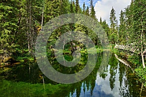 Tranquil pond with lush green foliage near Isokuru Lapp Hut in Pya Luosto National Park