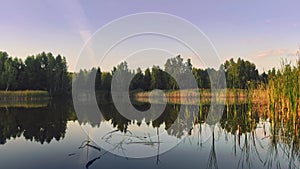 Tranquil pond water. Small waves on the calm lake surface with evening sunlight.