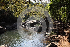 Tranquil pool near Dudhsagar Falls