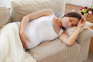 Tranquil pregnant woman sleeping on sofa