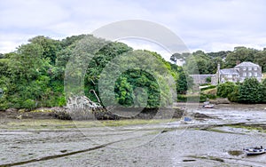 Batson Creek at Low Tide, Devon England