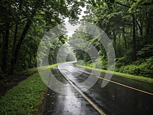 Tranquil Rainy Road Reflecting Architectural Beauty Amidst Lush Greenery: A Serene Urban Escape Captured in photo