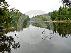 Tranquil Reflections and the upside down