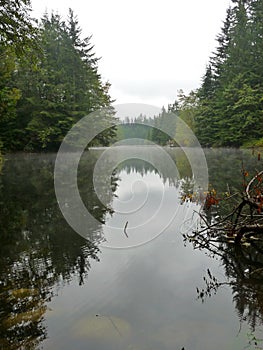 Tranquil Reflections and the upside down