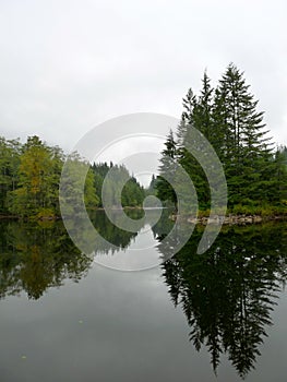 Tranquil Reflections and the upside down