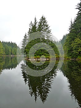 Tranquil Reflections and the upside down