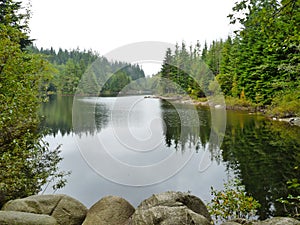 Tranquil Reflections and the upside down