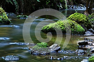 Tranquil River photo